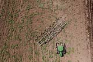 11 Fallow Master Orthman